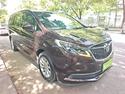 2018 Buick GL8 ES 28T Premium Type China VI, фото 4, лот 10258619