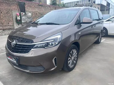 2020 Buick GL8 Model Land Business Class 652T Comfort, фото 1, лот 10256841