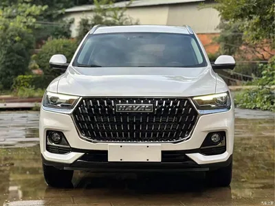 2023 Haval H6 National Trend Edition 1.5T Automatic Champion, фото 2, лот 10398227