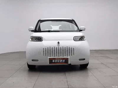 2020 Ora White Cat 305km Luxury, фото 3, лот 10399334