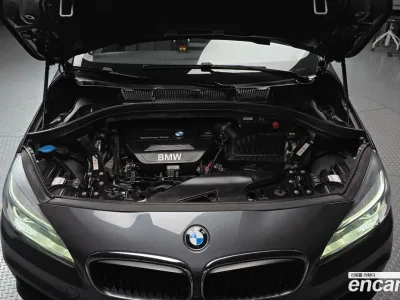 2016 BMW 2-Series Joy, фото 4, лот 10038006