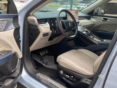 2021 WEY Mocha 2.0T 2WD Premium Edition, фото 4, лот 11152183