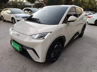 2024 BYD Seagull Glory Edition 405km Soaring Edition, фото 1, лот 10448659