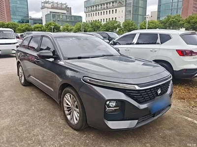 2021 Baojun Valli 1.5T Dali Sky CVT Premium, фото 4, лот 10408491