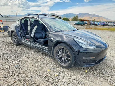 2019 TESLA MODEL 3, фото 4, лот 10855561