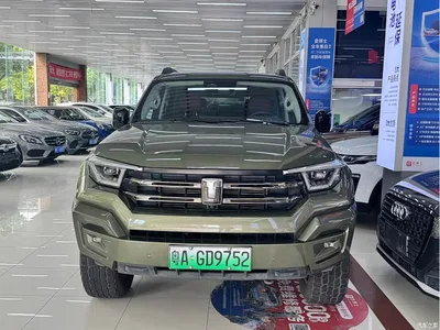 2024 Tank 400 New Energy Hi4-T Urban Edition, фото 2, лот 10344813