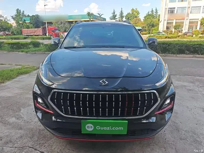 2021 Sehol X7 1.5T Luxury, фото 3, лот 11153488