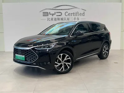 2025 BYD Tang New Energy Smart Driving Edition DM-i 115KM Flagship, фото 1, лот 10767814