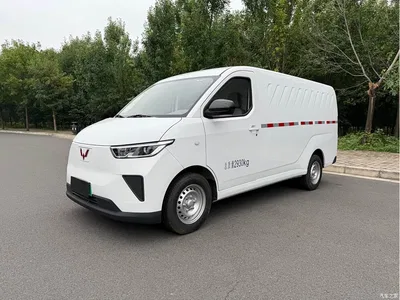 2024 Wuling Motors Wuling Yangguang 300km Practical Enclosed Window Version 60kW, фото 2, лот 11167485