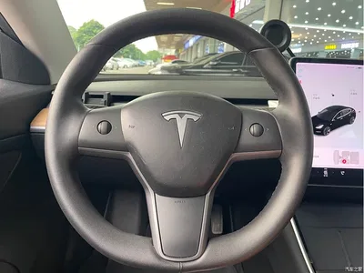 2020 Tesla Model 3 Standard Range Rear-Wheel Drive Upgrade, фото 4, лот 11138246