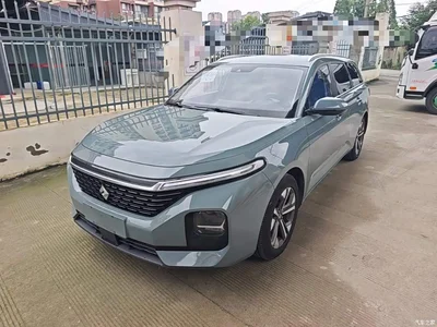 2021 Baojun Valli 1.5T Nagqu Starry Sky CVT Flagship Model, фото 1, лот 10409057