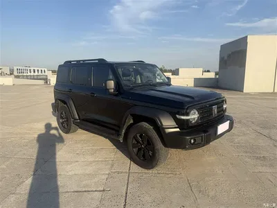 2021 Tank 300 Off-road Edition 2.0T Challenger, фото 3, лот 10334302
