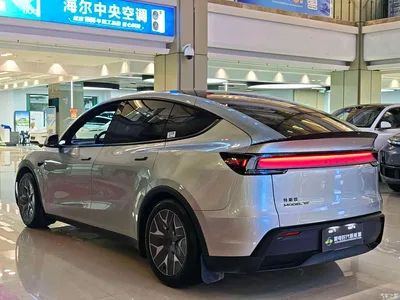 2025 Tesla Model Y L, фото 4, лот 10662499