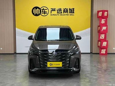 2023 Buick GL8 Land Business Class 652T Luxury, фото 2, лот 11134489