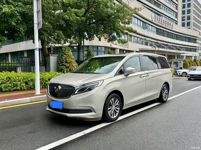 2017 Buick GL8 ES 28T Flagship China V, фото 1, лот 10245771