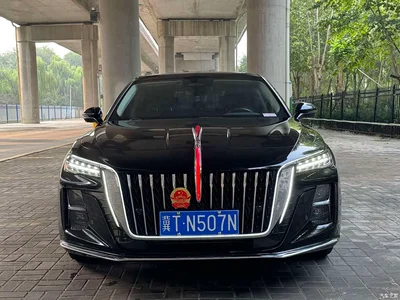 2024 Hongqi H5 2.0T Automatic Smart Connect Flag Smooth Edition, фото 4, лот 10816160