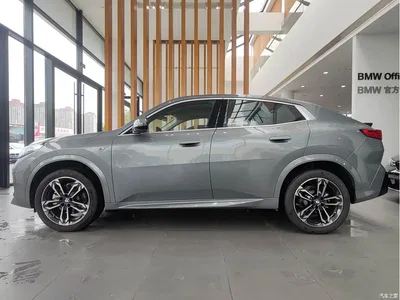 2024 BMW X2 (Import) sDrive25i M Sport Package, фото 4, лот 10475500