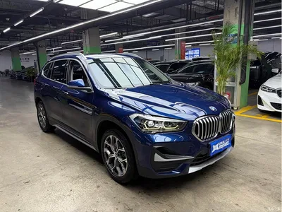 2020 BMW X1 sDrive20Li Premium Edition, фото 2, лот 10888870