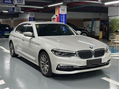 2019 BMW 5 Series New Energy 530Le Luxury Package, фото 3, лот 10448160