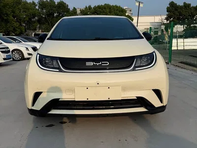 2023 BYD Dolphin 420km Freedom Edition, фото 3, лот 11253460