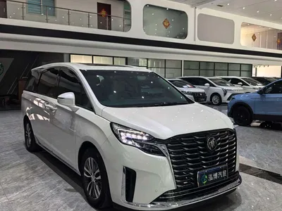 2023 Buick GL8 ES Landmaster Exclusive, фото 3, лот 10256578