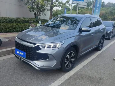 2024 BYD Song Pro New Energy Glory Edition DM-i 71KM Pilot, фото 1, лот 10770794