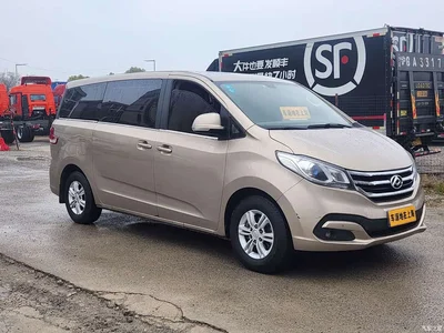 2016 SAIC Maxus Maxus G10 2.0T Automatic Elite, фото 3, лот 11160573