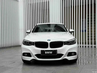 2018 BMW 3 Series GT 320i M Sport, фото 2, лот 10473364