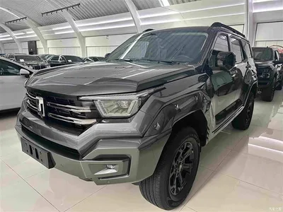 2023 Tank 400 New Energy Hi4-T Super Edition, фото 1, лот 10474313