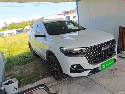 2023 Haval H6 National Trend Edition 1.5T Automatic Urban, фото 4, лот 10285406