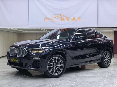 2021 BMW X6 xDrive30i M Sport Package, фото 1, лот 11226572
