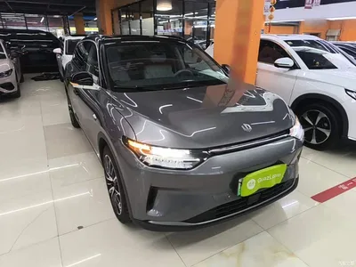 2021 Leapmotor C11 Luxury Edition, фото 4, лот 11198710