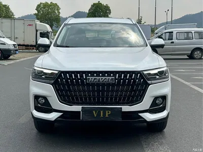 2025 Haval H6 1.5T National Trend Champion Edition, фото 1, лот 11136332