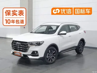 2021 Haval H6 National Trend Edition 1.5T Automatic Urban Edition, фото 1, лот 11193280