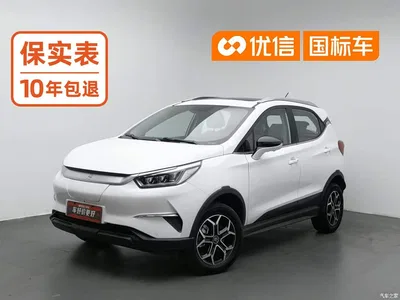 2021 BYD Yuan Pro 401KM Premium Model, фото 1, лот 10616012