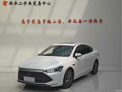 2021 BYD Qin PLUS DM-i 55KM Flagship, фото 1, лот 10689916
