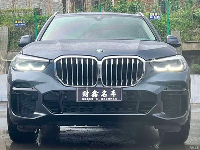 2022 BMW X5 (Import) xDrive30i M Sport Package, фото 2, лот 10463732