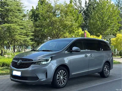 2021 Buick GL8 Land Business Class 652T Luxury, фото 1, лот 10804229