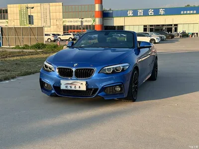 2018 BMW 2 Series (Import) 225i Convertible Coupe M Sport, фото 1, лот 10385190
