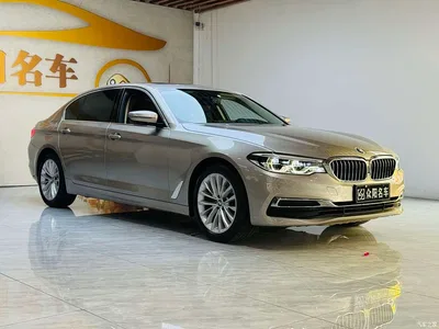 2019 BMW 5 Series Facelift 525Li Luxury Package, фото 3, лот 11175272
