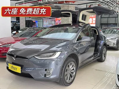 2017 Tesla Model X 100D Long Range, фото 1, лот 10355043