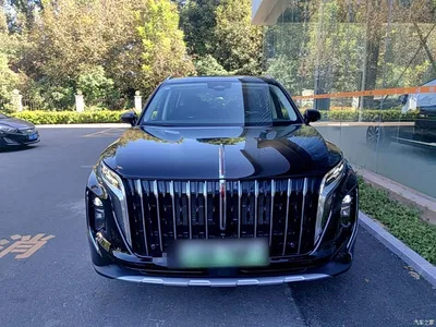 2024 Hongqi HS7 PHEV 2.0T PHEV 4WD Flagship Edition 6-seater, фото 3, лот 10289241