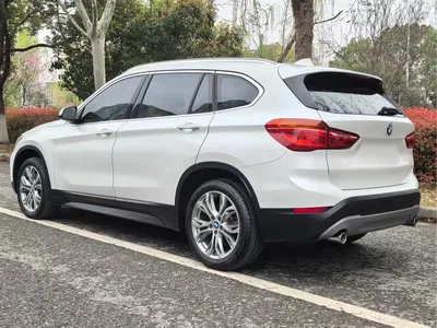 2018 BMW X1 sDrive20Li Leading Model, фото 4, лот 10243631