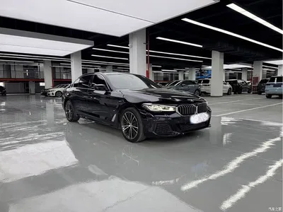 2021 BMW 5 Series 530Li Leading M Sport Package, фото 3, лот 10445379