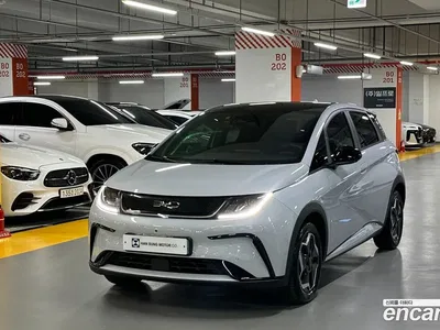 2026 BYD Dolphin Base, фото 1, лот 10184999