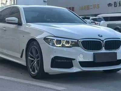 2019 BMW 5 Series (Import), фото 3, лот 11570388