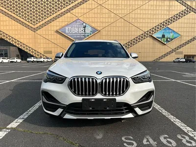 2022 BMW X1 sDrive20Li Premium, фото 3, лот 10396709