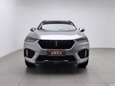 2017 WEY VV7 2.0T Flagship, фото 3, лот 10451944