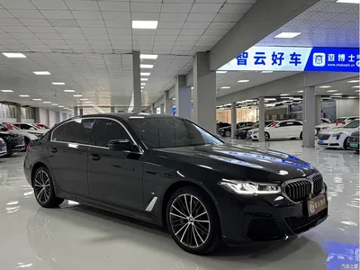 2023 BMW 5 Series 530Li xDrive M Sport Package, фото 3, лот 11503197