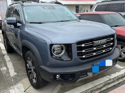 2021 Haval Big Dog 1.5T DCT 2WD Border Collie Edition, фото 3, лот 11200649